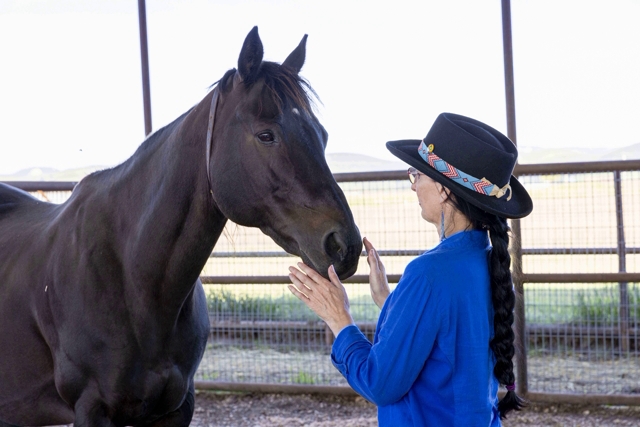 Reiki for Humans and Horses
